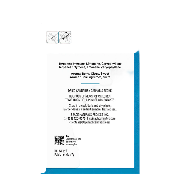 Spinach Grindz - Blue Razz