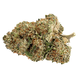 Pure Sunfarms - Pink Rhino