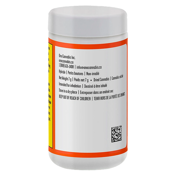 WAZA - Orange Slushie