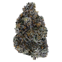 Woody Nelson - Dark Rainbow