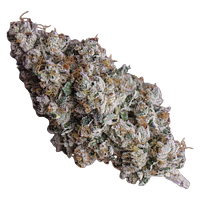 Frost Cannabis - '91 Royale