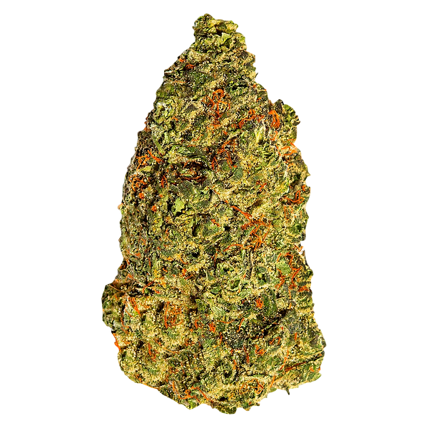 South Point - Turbo Diesel