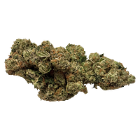 One King - King's Cake Flower