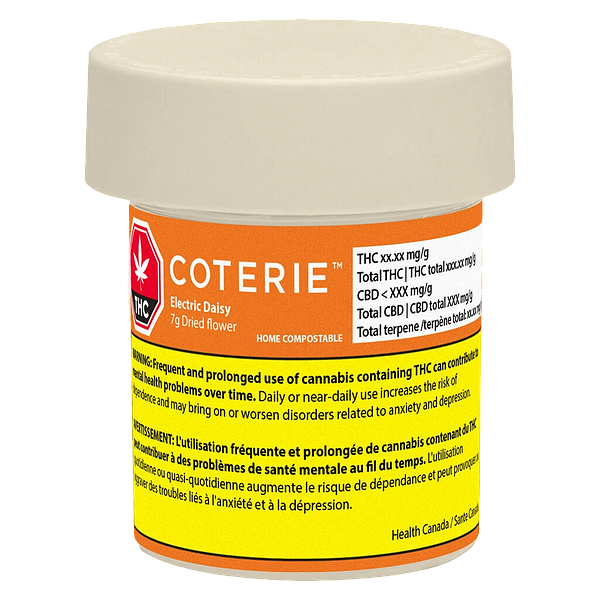 Coterie - Electric Daisy
