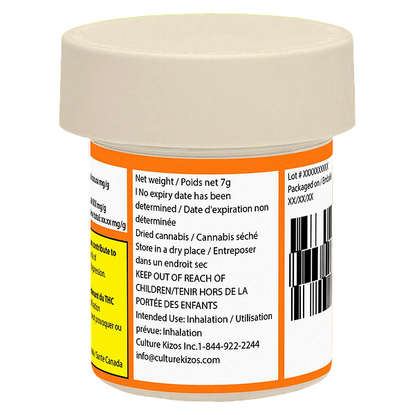 Coterie - Electric Daisy