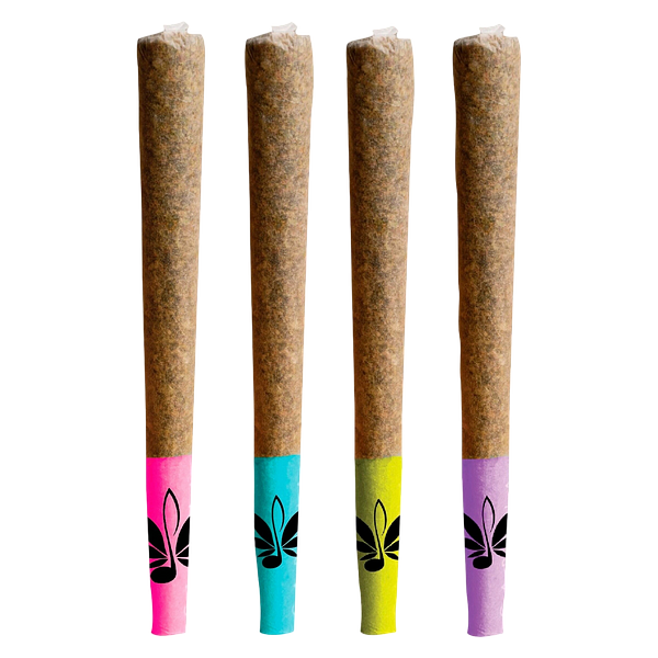 High Note - Shuffle 4-pack Of J's