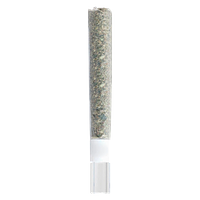 Be Humble. - Rosin Roll Glass Tip Infused Pre-Roll