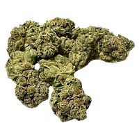 Cannabis Cartel Quads - Little Buddies