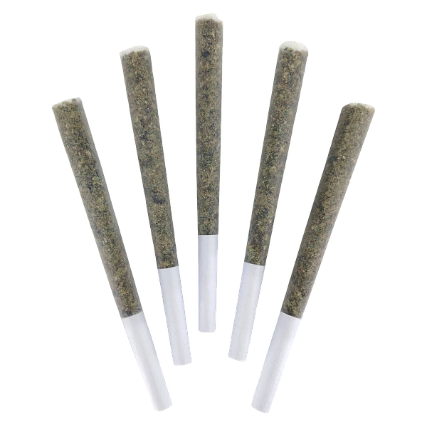 DEALR - Tokyo Sunset Pre-Roll