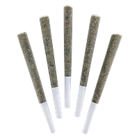 DEALR - Tokyo Sunset Pre-Roll