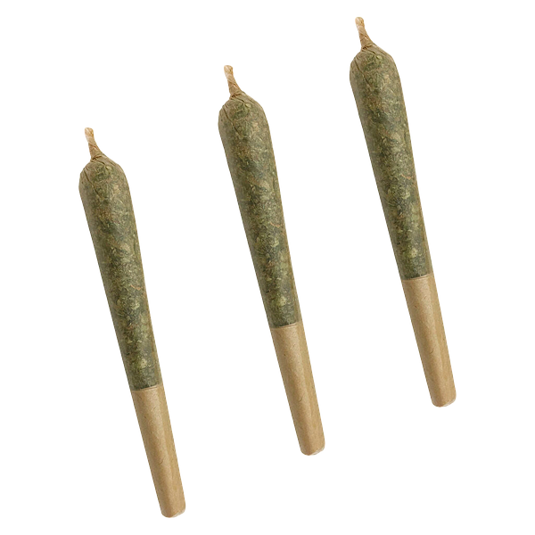 XoPro - Time Wreck Pre-Roll