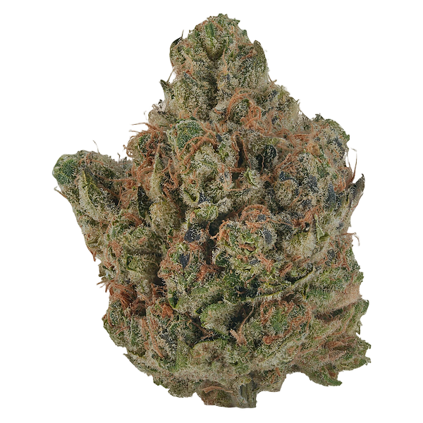 VOLO - Orange Turpentine