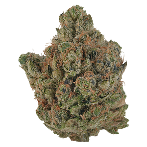 VOLO - Orange Turpentine