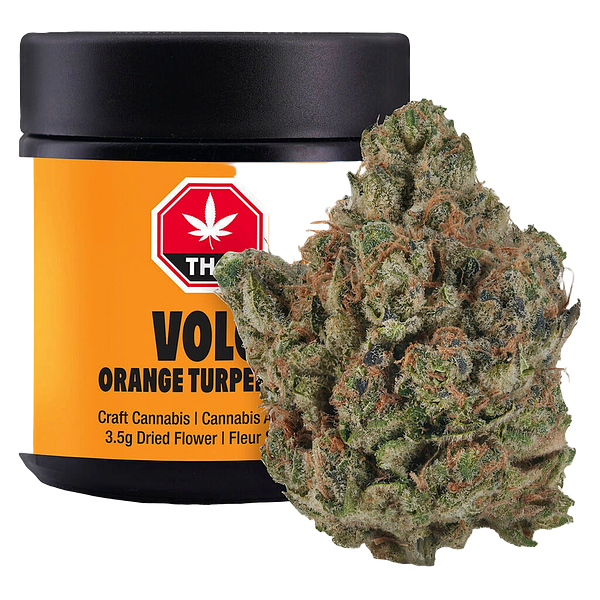 VOLO - Orange Turpentine