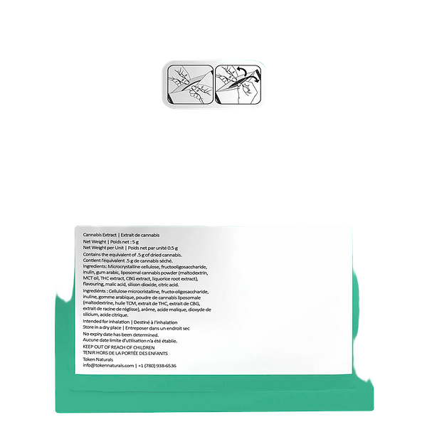 Viib - Spearmint 4 :1 THC CBG Pouches