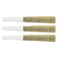 The Loud Plug - Waffle Cone Pre-Roll