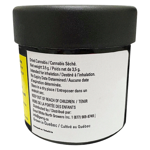 Clem & Co. - Mango Fuel