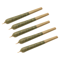 Clem & Co. - Mango Fuel Pre-Rolls