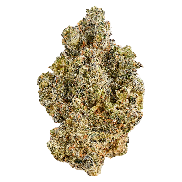 Broken Coast - La Bomba