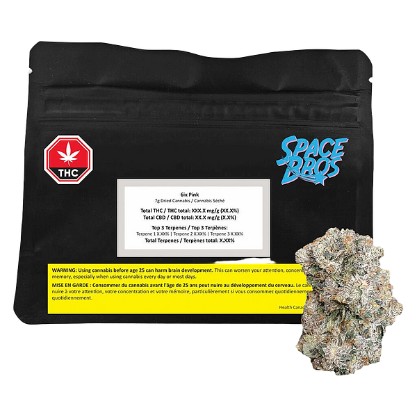 Space Bros - 6ix Pink