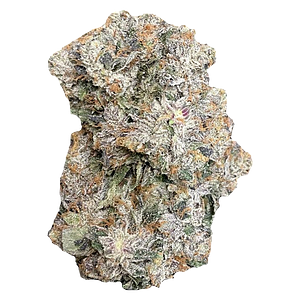 Space Bros - 6ix Pink