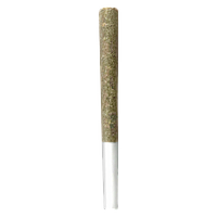 MELT - OG Gas Pre Roll