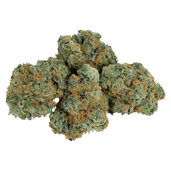 Little Leaf - Stratford's Craft Flower Experience