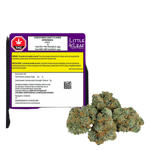 Little Leaf - Stratford's Craft Flower Experience