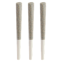 Seaweed - The Wave Rosin Infused Pre-Roll