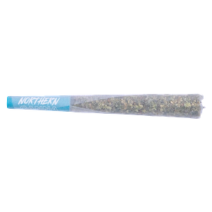 Northern Canna - The Collective Infused Pre-Roll