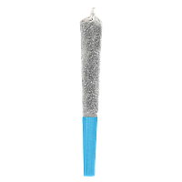 Potluck - Blue Lagoon Thunder Infused Pre-Roll