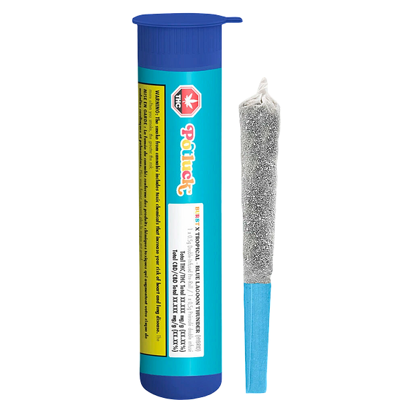 Potluck - Blue Lagoon Thunder Infused Pre-Roll