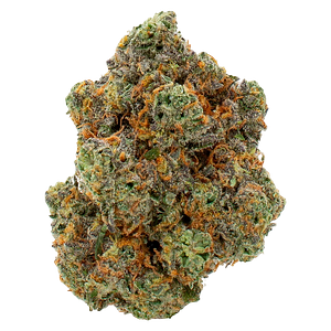 Queen of the Underground - Bubblegum