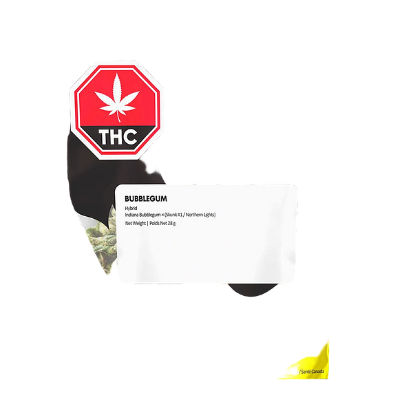 Queen of the Underground - Bubblegum