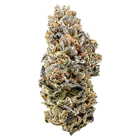 Queen of the Underground - Candy Apple