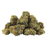 BC Smalls - Electric Lotus Smalls