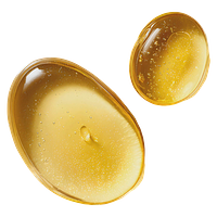 Proofly - Daily CBD Isolate Salmon Oil