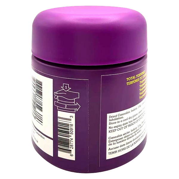 HighXotic - Royal Dive #6: Vantablack