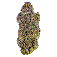 HighXotic - Royal Dive #6: Vantablack