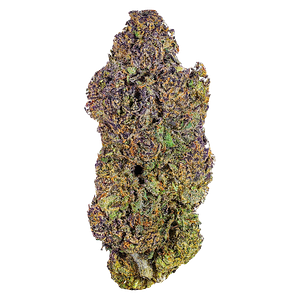 HighXotic - Royal Dive #6: Vantablack