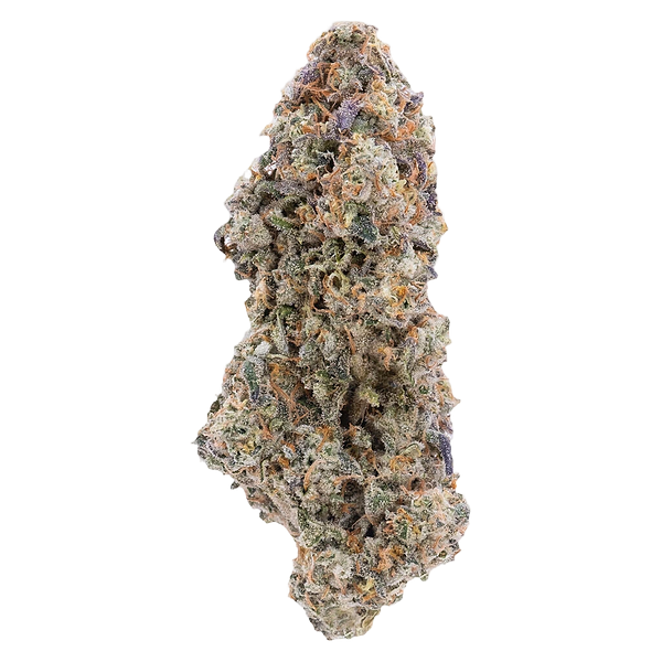 Northern Canna - True Mints