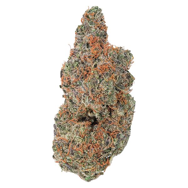 Coterie - Strawberry Gary