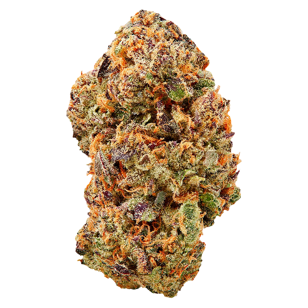 Tenzo - Watermelon Mojo ZKTLZ