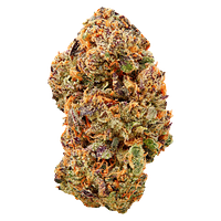 Tenzo - Watermelon Mojo ZKTLZ