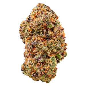 Tenzo - Watermelon Mojo ZKTLZ