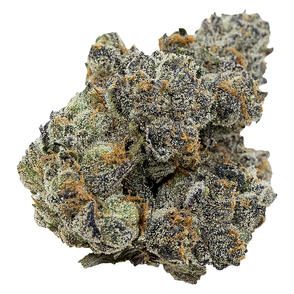 Pistol and Paris - Pink Death