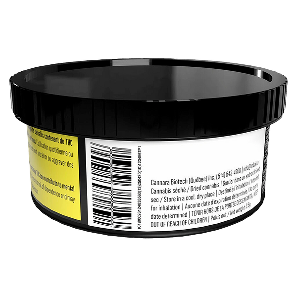 Tribal - Porto Leche