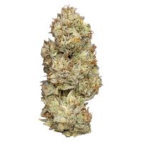 Nugz - Wagyu Delight