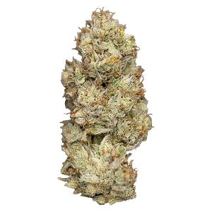 Nugz - Wagyu Delight