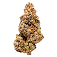 Headspace - Garlic Fumez